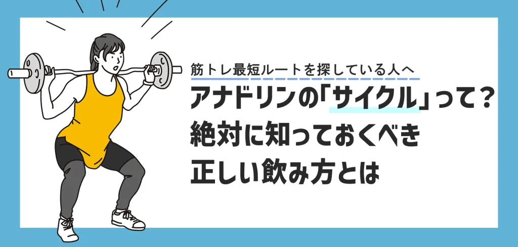 アナドリンのサイクルについて