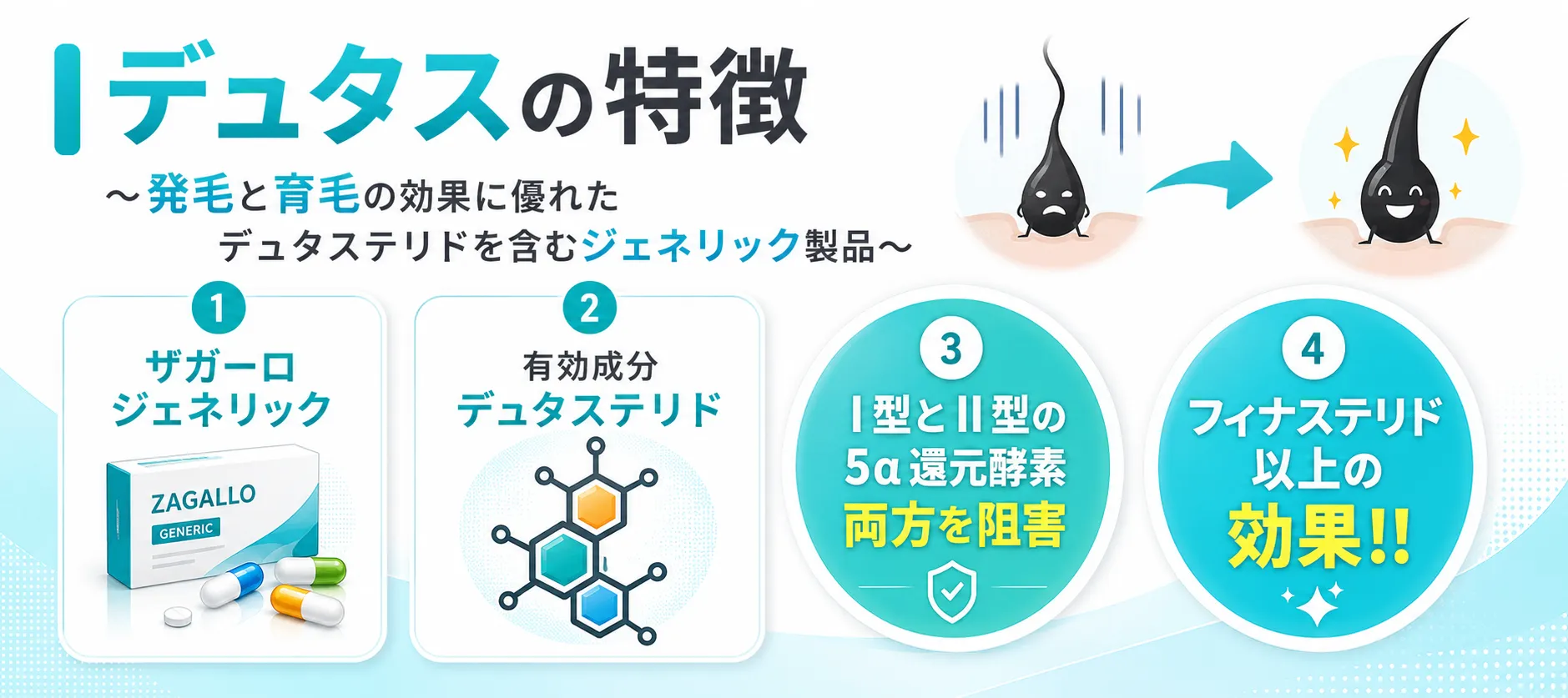 デュタスの特徴 デュタスの特徴