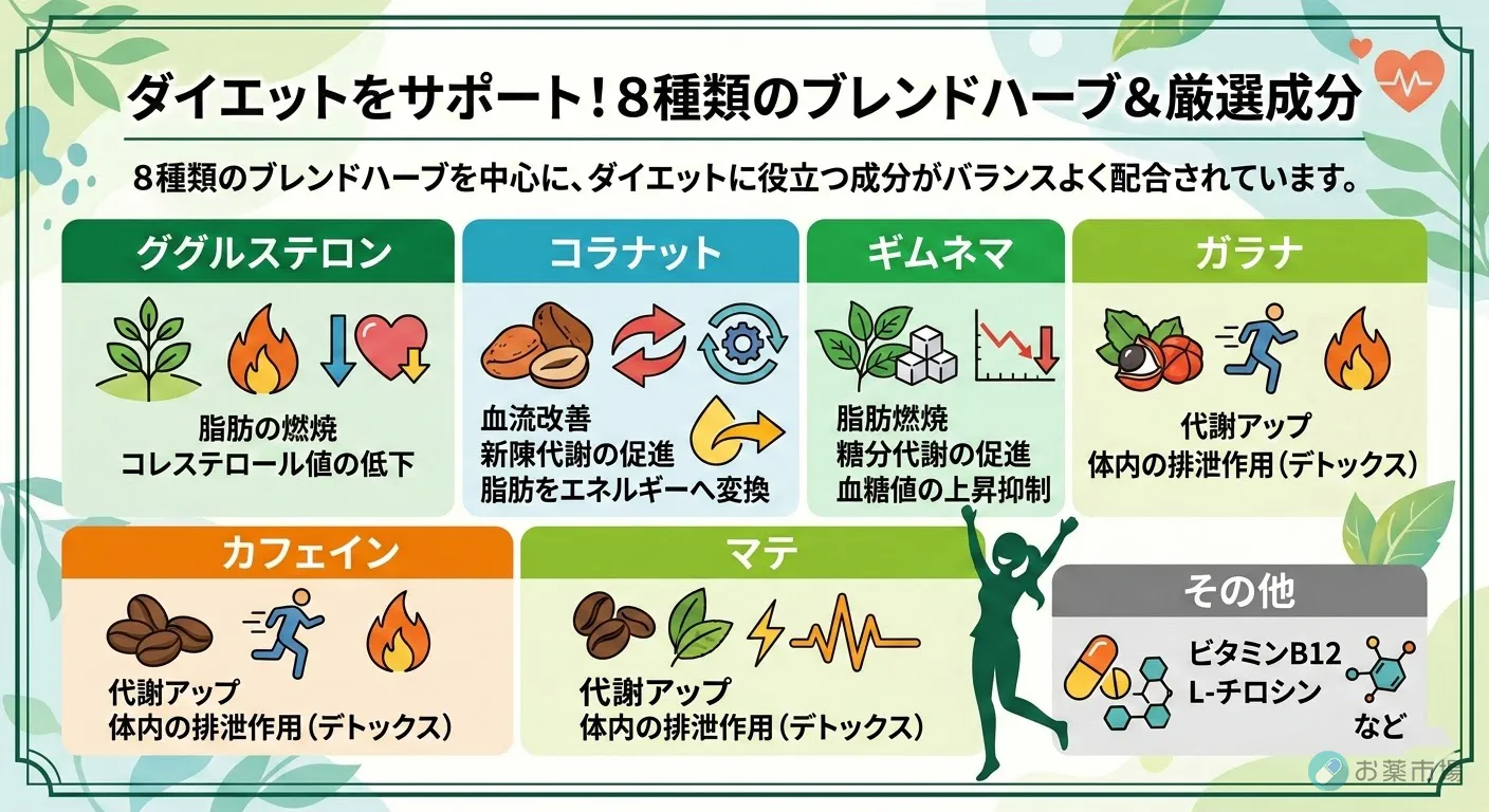 ダイエットをサポートするスタッカー2 ダイエットをサポートするスタッカー2