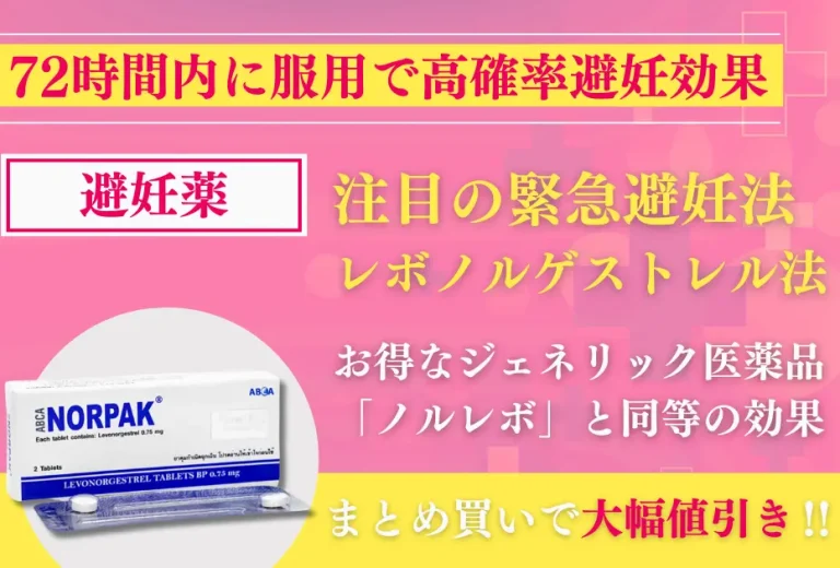 【ブラックフライデー】ノルパック 6錠/3回分 2