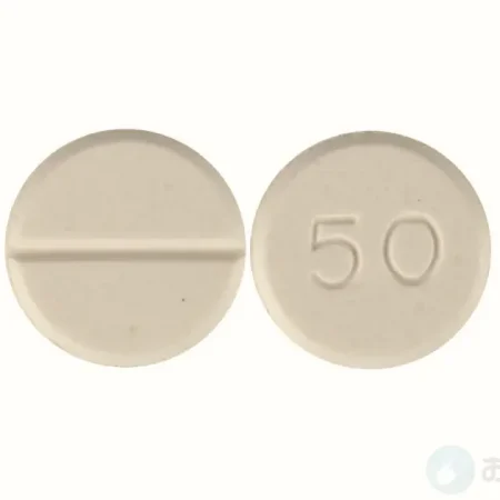 フェルトミッド 2