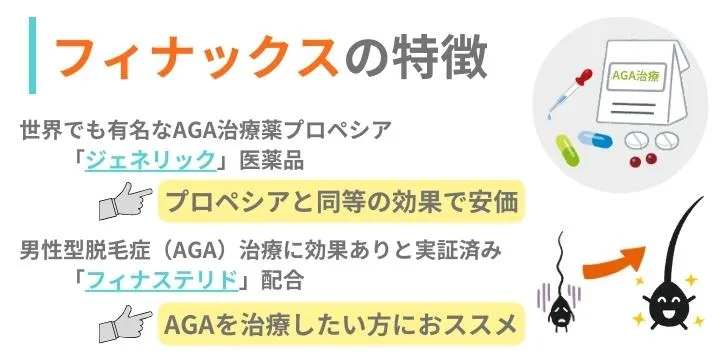 フィナックスの特徴