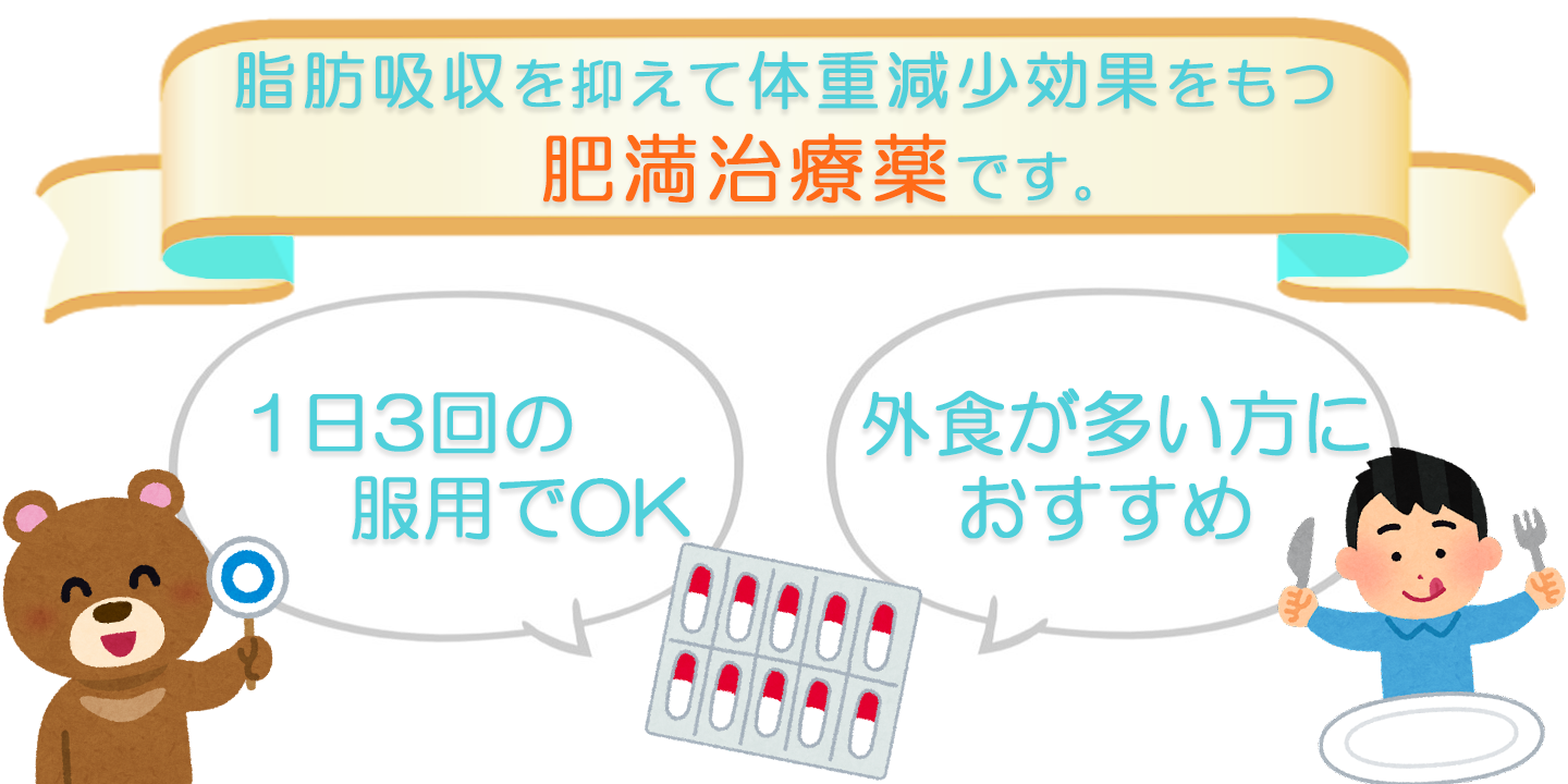 肥満治療薬の説明