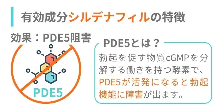 有効成分シルデナフィルの特徴