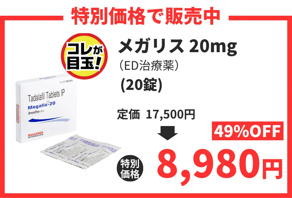 【数量限定】メガリス