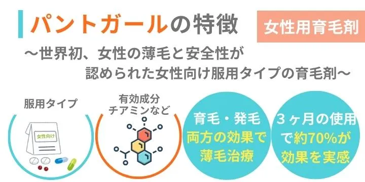 パントガールの特徴
