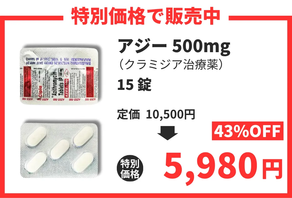 【数量限定】アジー