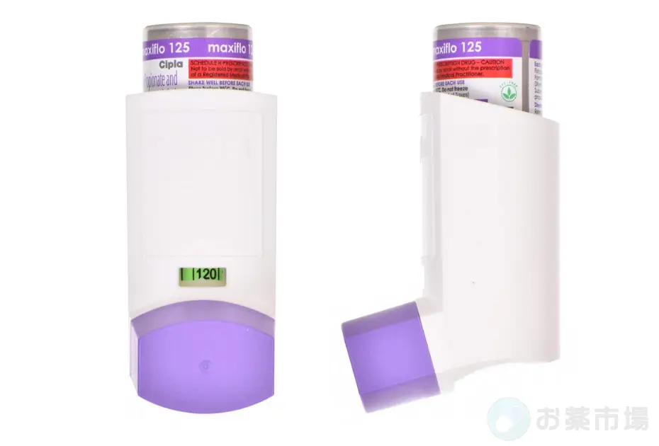 マキシフローインヘラー 2