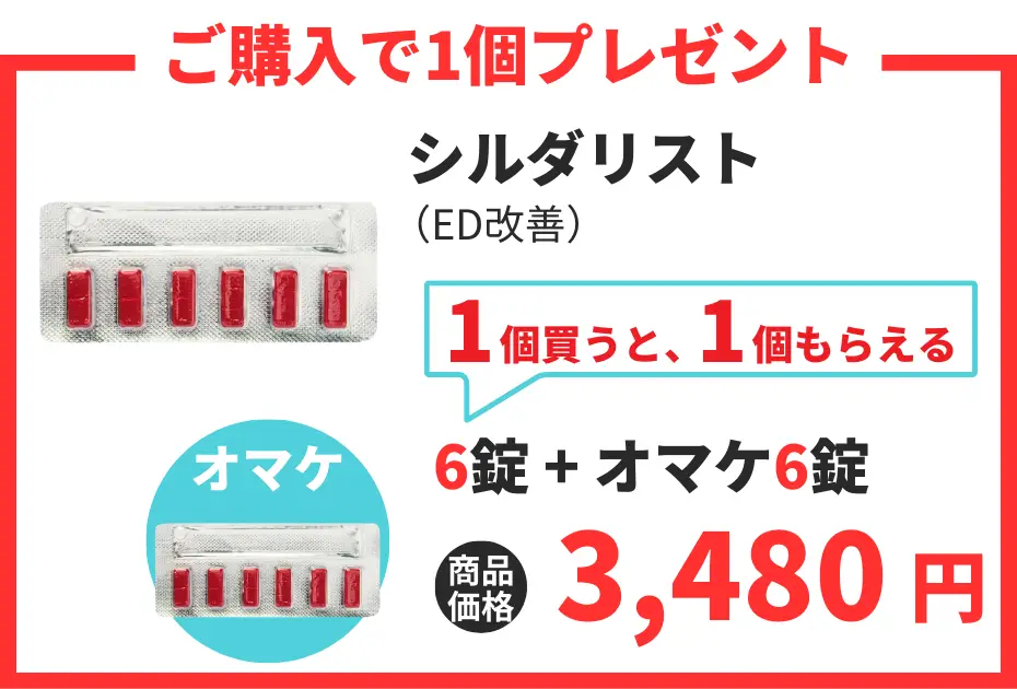 【数量限定】シルダリスト