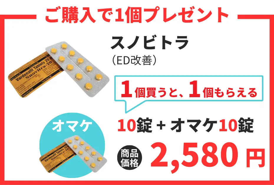 【数量限定】スノビトラ