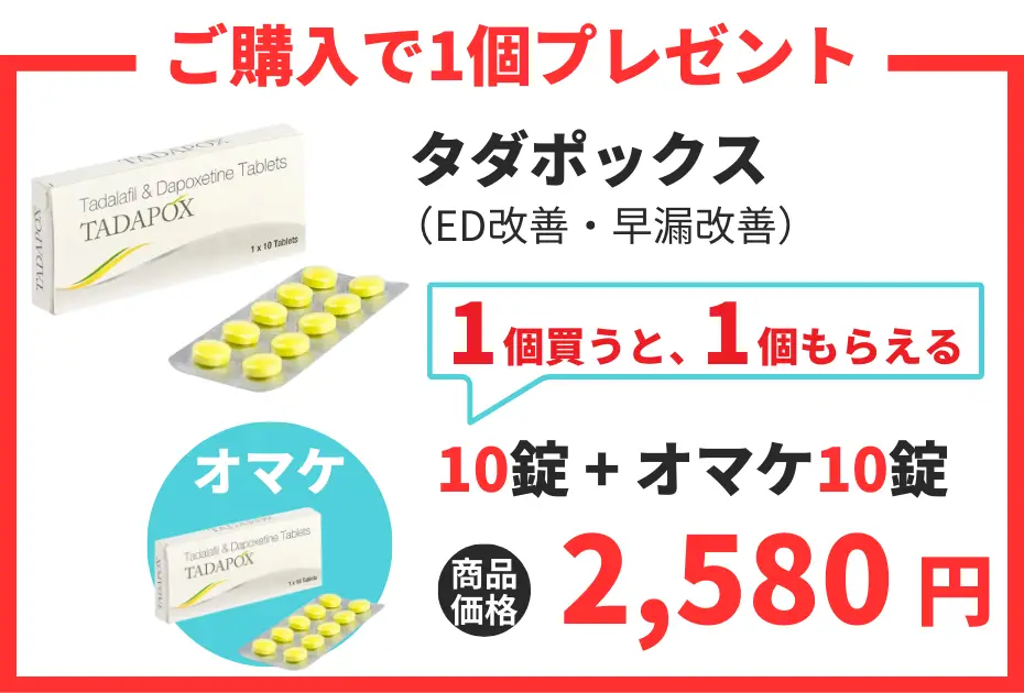 【数量限定】タダポックス