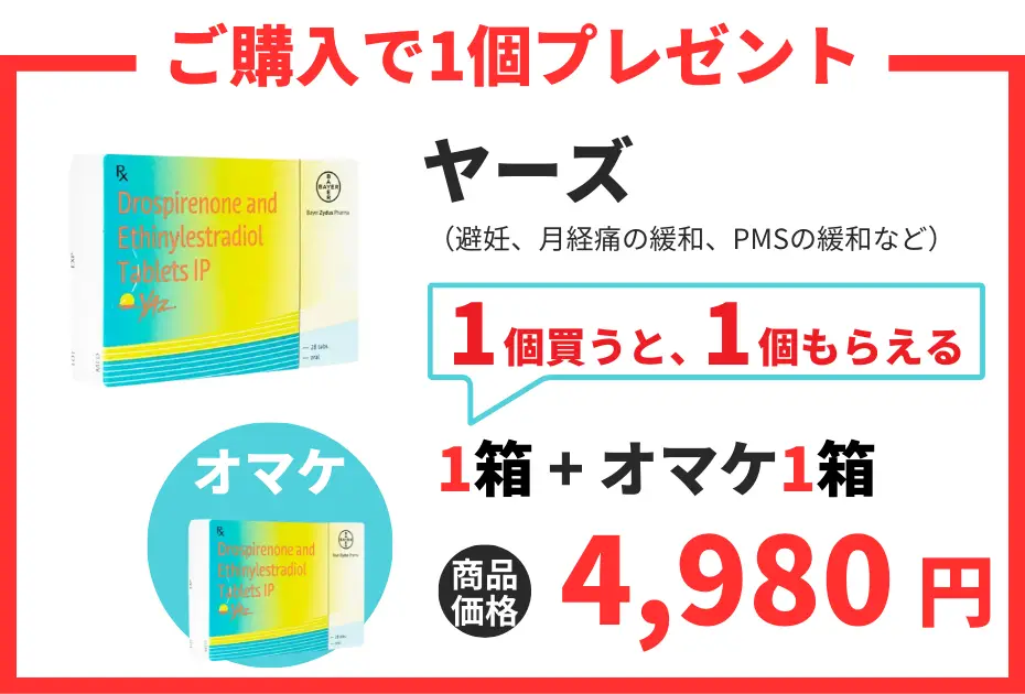 【数量限定】ヤーズ
